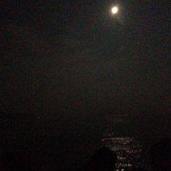 ケンサキがいない